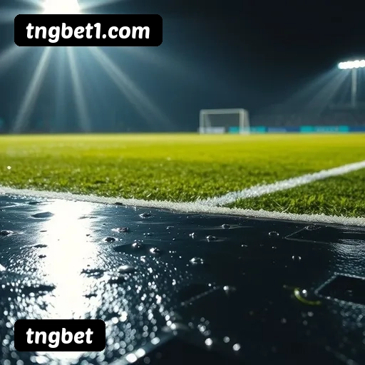 Comparação APP mobile vs versão web da tngbet